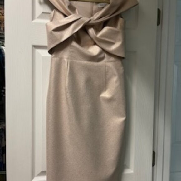 Teri Jon Dress - Picture 1 of 2